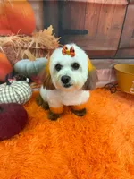 processed/f4a2314c-4833-4e66-827e-d911a5905eae/listing/972fe565-db25-4106-a533-058cde4448df/785fd615-b955-403f-9bba-9378fb7b0311