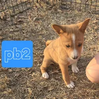 processed/f4b1f510-3ff2-4ba2-ada7-fd40868e62df/listing/0347e484-fd7b-44a3-acc5-b5e51fcb69f9/248e9f84-78ec-4192-a1e7-0eb040dc0ecc