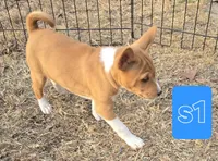 processed/f4b1f510-3ff2-4ba2-ada7-fd40868e62df/listing/94e390c9-8dbe-4a4b-bb49-710490a35c46/5237d1c0-859b-46f6-bb21-700803e3075f