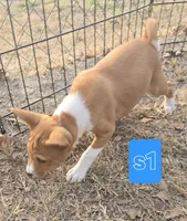 processed/f4b1f510-3ff2-4ba2-ada7-fd40868e62df/listing/94e390c9-8dbe-4a4b-bb49-710490a35c46/73e80cc9-fb7d-47c2-867e-7753439e6586