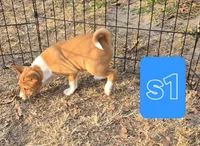 processed/f4b1f510-3ff2-4ba2-ada7-fd40868e62df/listing/94e390c9-8dbe-4a4b-bb49-710490a35c46/ef0096c6-2158-4407-b790-6a844f6b78cb