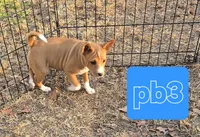 processed/f4b1f510-3ff2-4ba2-ada7-fd40868e62df/listing/cb1fc5a1-829d-49ff-b9ee-0eec464f6208/2c12bb4d-b87a-4d33-949e-5e21839e7aaf