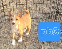 processed/f4b1f510-3ff2-4ba2-ada7-fd40868e62df/listing/cb1fc5a1-829d-49ff-b9ee-0eec464f6208/926dabee-98ee-471d-aec2-85281ce101f8