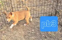 processed/f4b1f510-3ff2-4ba2-ada7-fd40868e62df/listing/cb1fc5a1-829d-49ff-b9ee-0eec464f6208/b75c8b17-2ac2-487a-903e-2c47b5b981d6