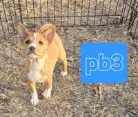 processed/f4b1f510-3ff2-4ba2-ada7-fd40868e62df/listing/cb1fc5a1-829d-49ff-b9ee-0eec464f6208/ba7771b2-e1ae-464b-861d-1228d504d66c