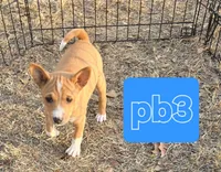 processed/f4b1f510-3ff2-4ba2-ada7-fd40868e62df/listing/cb1fc5a1-829d-49ff-b9ee-0eec464f6208/c5df3204-3d5c-457d-ae21-52bba67efdb5