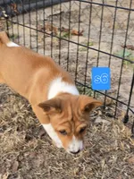 processed/f4b1f510-3ff2-4ba2-ada7-fd40868e62df/listing/daff712b-3d05-48c0-93e3-c450043c77c0/1a622f37-824c-46f2-9c19-1b428ca46734