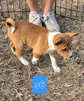 processed/f4b1f510-3ff2-4ba2-ada7-fd40868e62df/listing/daff712b-3d05-48c0-93e3-c450043c77c0/68e01f4c-2d8d-4c58-a579-b3cab42e2b1c