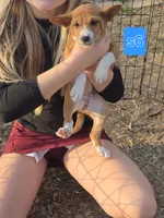 processed/f4b1f510-3ff2-4ba2-ada7-fd40868e62df/listing/daff712b-3d05-48c0-93e3-c450043c77c0/9a8b2e16-5f70-409e-ac37-e811b4b500e4