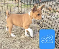 processed/f4b1f510-3ff2-4ba2-ada7-fd40868e62df/listing/db699952-d454-4e25-a13f-7553c4b7d1bd/98368d5e-f849-4fa3-b684-1c826f1a1679