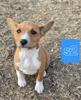 processed/f4b1f510-3ff2-4ba2-ada7-fd40868e62df/listing/db699952-d454-4e25-a13f-7553c4b7d1bd/ccb81073-ac3b-43ac-add6-3253acd87154