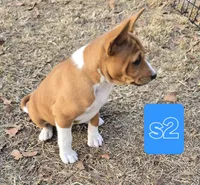 processed/f4b1f510-3ff2-4ba2-ada7-fd40868e62df/listing/db699952-d454-4e25-a13f-7553c4b7d1bd/d00d2c76-a22b-453a-afac-e084387ec330