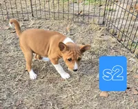 processed/f4b1f510-3ff2-4ba2-ada7-fd40868e62df/listing/db699952-d454-4e25-a13f-7553c4b7d1bd/e649e19f-12e2-4a88-8bb6-0659ab160d98