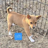 processed/f4b1f510-3ff2-4ba2-ada7-fd40868e62df/listing/ec4007cd-e7cb-448d-8f4d-5cc678933059/961a8add-5f69-4576-9b93-2a7244769f31