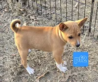 processed/f4b1f510-3ff2-4ba2-ada7-fd40868e62df/listing/ec4007cd-e7cb-448d-8f4d-5cc678933059/dbaba630-8b4c-4c34-9fd2-f806d8e94455