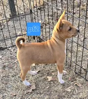 processed/f4b1f510-3ff2-4ba2-ada7-fd40868e62df/listing/ec4007cd-e7cb-448d-8f4d-5cc678933059/e7adb27f-e2b2-4db0-9b8c-3e9bf88e5d9f