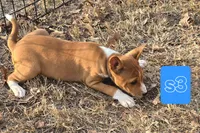 processed/f4b1f510-3ff2-4ba2-ada7-fd40868e62df/listing/f87b5709-2f99-4167-a45e-ca4f59d774f5/10b415e8-478b-486d-b6cc-0b7adc7ac6c6