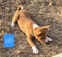 processed/f4b1f510-3ff2-4ba2-ada7-fd40868e62df/listing/f87b5709-2f99-4167-a45e-ca4f59d774f5/2af65f3c-d16d-44b8-b436-9824b9bc4ecc