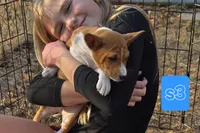 processed/f4b1f510-3ff2-4ba2-ada7-fd40868e62df/listing/f87b5709-2f99-4167-a45e-ca4f59d774f5/decbc362-6103-4808-b93b-db59560df5b8