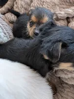 processed/f4b4a7ba-c2bb-4a69-a096-17aeea5af0e9/listing/402ee8c3-9f5e-40df-bb21-f96c42d8c6b9/510e987a-a3ba-423c-898f-0a4d1f5c8c70