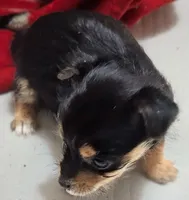 processed/f4b4a7ba-c2bb-4a69-a096-17aeea5af0e9/listing/402ee8c3-9f5e-40df-bb21-f96c42d8c6b9/bb874470-906d-424b-9967-8079056b9dea