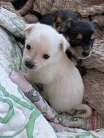 processed/f4b4a7ba-c2bb-4a69-a096-17aeea5af0e9/listing/65fd3359-c52c-46c3-8f6f-47be8b8b6c9a/4d69e405-781c-4df1-b589-9bbc04650c2e