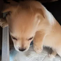 processed/f4b4a7ba-c2bb-4a69-a096-17aeea5af0e9/listing/65fd3359-c52c-46c3-8f6f-47be8b8b6c9a/59d58e52-0aab-4865-9d85-bd85f6ae9f93