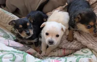 processed/f4b4a7ba-c2bb-4a69-a096-17aeea5af0e9/listing/65fd3359-c52c-46c3-8f6f-47be8b8b6c9a/b8e2ab0d-f5ef-4ab9-a238-0d699f53d90f