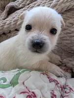 processed/f4b4a7ba-c2bb-4a69-a096-17aeea5af0e9/listing/65fd3359-c52c-46c3-8f6f-47be8b8b6c9a/d0b20571-e469-4736-9e4c-c2064593fb46