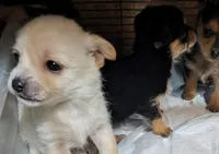 processed/f4b4a7ba-c2bb-4a69-a096-17aeea5af0e9/listing/65fd3359-c52c-46c3-8f6f-47be8b8b6c9a/fc1d38c9-1b7f-4338-9b72-4d8475a65019