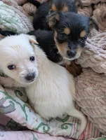 processed/f4b4a7ba-c2bb-4a69-a096-17aeea5af0e9/listing/82126947-6c0d-427a-b9bb-940ff54b1dd7/68c69cb2-f3de-406b-bacc-06b7af8c520d