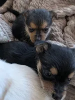 processed/f4b4a7ba-c2bb-4a69-a096-17aeea5af0e9/listing/82126947-6c0d-427a-b9bb-940ff54b1dd7/f61df66b-3893-488a-8a72-10311a65f3e4