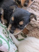 processed/f4b4a7ba-c2bb-4a69-a096-17aeea5af0e9/listing/82126947-6c0d-427a-b9bb-940ff54b1dd7/fc7a11cf-ac3f-40ec-846a-b3e2f9da7209