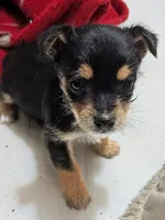 processed/f4b4a7ba-c2bb-4a69-a096-17aeea5af0e9/listing/82126947-6c0d-427a-b9bb-940ff54b1dd7/fe42131d-2618-4672-a9bd-cb84eff87d49