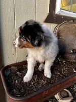 processed/f4b4da68-bd8c-4dd5-9323-342ebb7a89a3/listing/4544f97d-0178-4371-bdfd-fd1a1b903f89/530ecfaa-3cb9-4b6a-8163-178a54738e8d