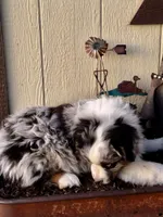 processed/f4b4da68-bd8c-4dd5-9323-342ebb7a89a3/listing/b53e9b28-a33f-4376-a579-f34c52353add/7504dbee-71ef-45f2-bfa8-ecdad0b12acc