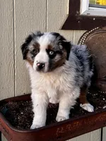 processed/f4b4da68-bd8c-4dd5-9323-342ebb7a89a3/listing/b53e9b28-a33f-4376-a579-f34c52353add/8bde09a3-251e-41bf-82b0-25574b857a72