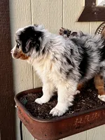 processed/f4b4da68-bd8c-4dd5-9323-342ebb7a89a3/listing/b53e9b28-a33f-4376-a579-f34c52353add/ed71f913-dff9-436c-8050-368bc84c2d0e