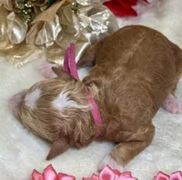 processed/f4be54ee-aa95-4d70-a987-e6708a4bf59e/listing/07086445-e8db-4524-91df-b00798e9106f/147885c8-6fff-4c76-b310-6c54dc3469bb