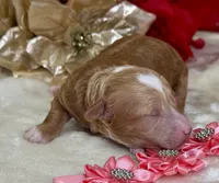 processed/f4be54ee-aa95-4d70-a987-e6708a4bf59e/listing/07086445-e8db-4524-91df-b00798e9106f/42f4be04-be92-4bac-b5f7-4af19f7c5804