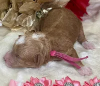 processed/f4be54ee-aa95-4d70-a987-e6708a4bf59e/listing/07086445-e8db-4524-91df-b00798e9106f/6f07c497-2e55-4e09-8596-1442d288dc13