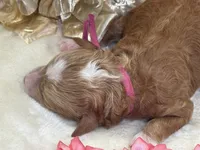 processed/f4be54ee-aa95-4d70-a987-e6708a4bf59e/listing/07086445-e8db-4524-91df-b00798e9106f/a4976a53-284e-4c81-b594-aace3b117cc8