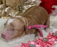 processed/f4be54ee-aa95-4d70-a987-e6708a4bf59e/listing/07086445-e8db-4524-91df-b00798e9106f/c285094d-fc36-4d4f-a5be-72d4e5b3543e