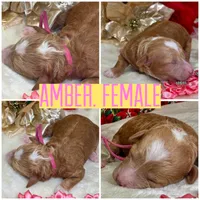 processed/f4be54ee-aa95-4d70-a987-e6708a4bf59e/listing/07086445-e8db-4524-91df-b00798e9106f/f818e9be-2e54-48b1-b6d5-996aa33d6b2a