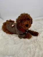 Winston, a male Poodle - Toy  for sale in Monterey Park, CA – Photo 1 of 4