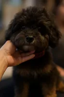 processed/f4c0df83-552a-456c-8988-e9030f581e26/listing/627fb8c1-6247-427a-b8d2-be43a3d4b040/dc65bfe6-6cf6-4db7-a725-e6e1998ef912