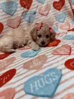 processed/f4c1a8c5-a72e-4af2-9bc0-789e2854e978/listing/02a7df80-ddb1-4d35-a35b-a163fba54ce8/85d1342c-a72e-41f6-aea4-f339974ff001