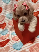 processed/f4c1a8c5-a72e-4af2-9bc0-789e2854e978/listing/02a7df80-ddb1-4d35-a35b-a163fba54ce8/86643488-8005-4e69-9a1f-269494a2adde