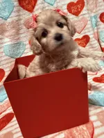 processed/f4c1a8c5-a72e-4af2-9bc0-789e2854e978/listing/02a7df80-ddb1-4d35-a35b-a163fba54ce8/e03cfd1b-0ca6-4e1f-8ced-e15304de6b0a