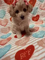 processed/f4c1a8c5-a72e-4af2-9bc0-789e2854e978/listing/02a7df80-ddb1-4d35-a35b-a163fba54ce8/ee97eefc-c5ae-489b-ab98-25ba5cd6207f